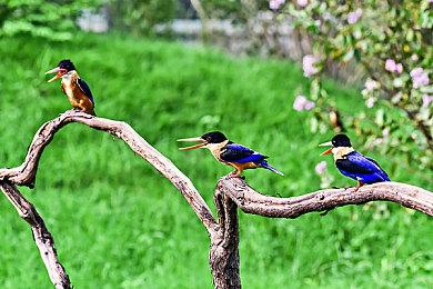 喜加一还将继续 Epic Games短期内不会停止免费赠送